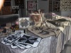 gal/Quiltefestival_i_Middelfart_2008/Udstilling/thumbnails/_thb_quiltefestival2008torsdag204.JPG