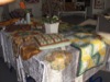 gal/Quiltefestival_i_Middelfart_2008/Udstilling/thumbnails/_thb_quiltefestival2008torsdag216.JPG